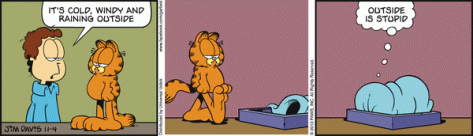 Garfield_11-4-13